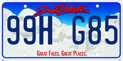 SD license plate 99HG85