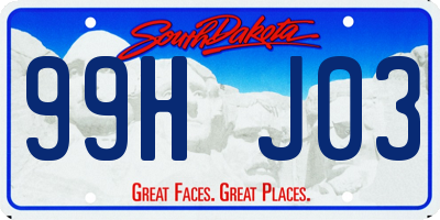 SD license plate 99HJ03