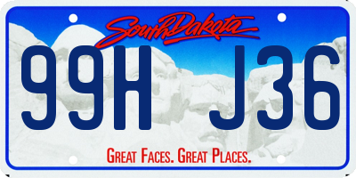 SD license plate 99HJ36
