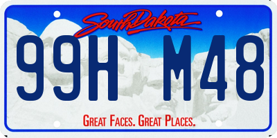 SD license plate 99HM48
