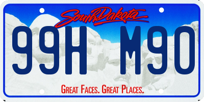 SD license plate 99HM90