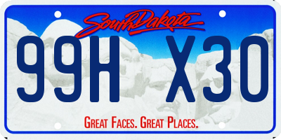 SD license plate 99HX30
