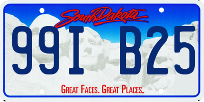 SD license plate 99IB25