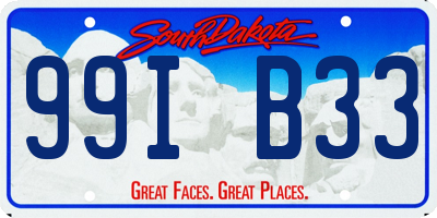 SD license plate 99IB33