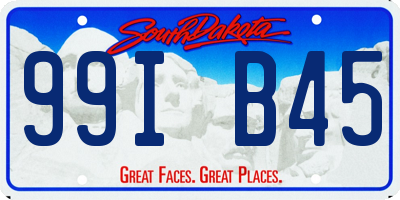 SD license plate 99IB45