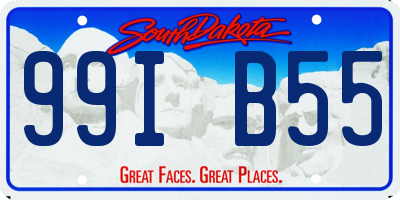 SD license plate 99IB55