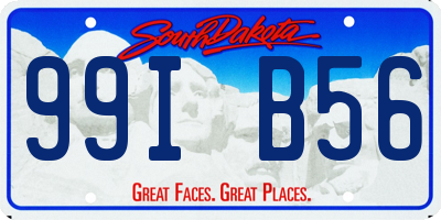 SD license plate 99IB56
