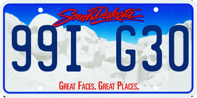 SD license plate 99IG30