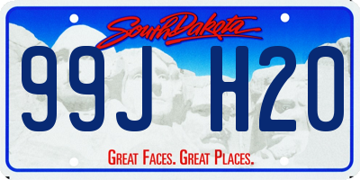 SD license plate 99JH20