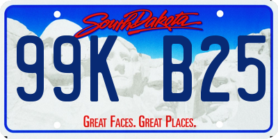 SD license plate 99KB25
