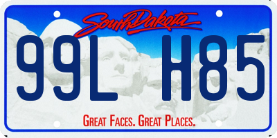 SD license plate 99LH85