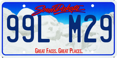 SD license plate 99LM29