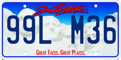 SD license plate 99LM36