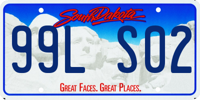 SD license plate 99LS02