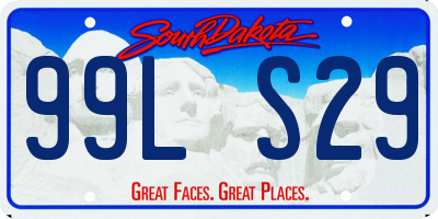 SD license plate 99LS29