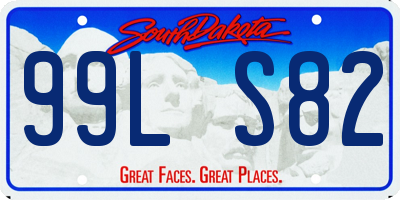 SD license plate 99LS82