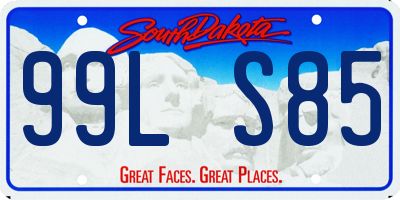 SD license plate 99LS85