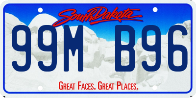SD license plate 99MB96