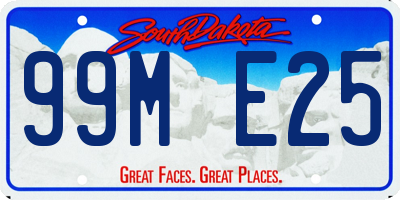 SD license plate 99ME25