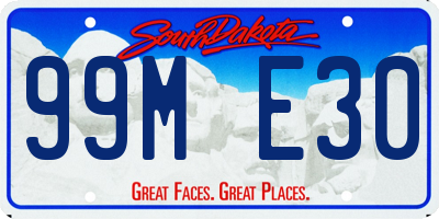 SD license plate 99ME30