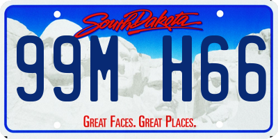 SD license plate 99MH66