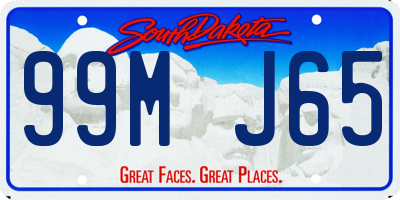 SD license plate 99MJ65