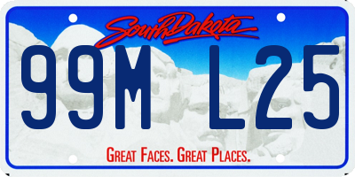 SD license plate 99ML25