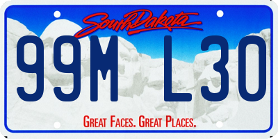 SD license plate 99ML30