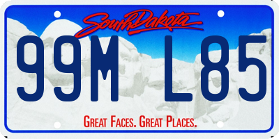 SD license plate 99ML85