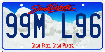 SD license plate 99ML96