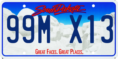 SD license plate 99MX13