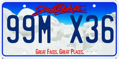 SD license plate 99MX36