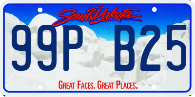 SD license plate 99PB25