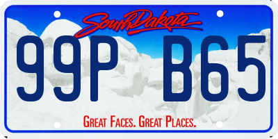 SD license plate 99PB65