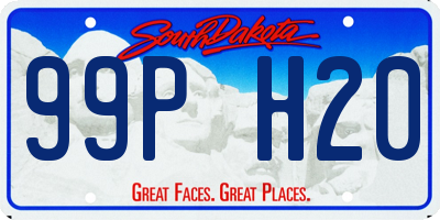 SD license plate 99PH20