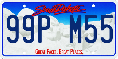 SD license plate 99PM55