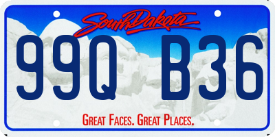 SD license plate 99QB36