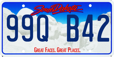 SD license plate 99QB42