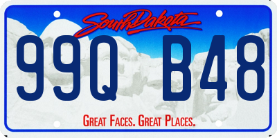 SD license plate 99QB48