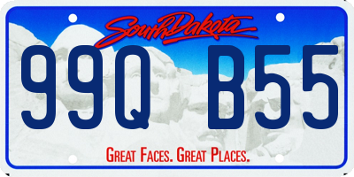 SD license plate 99QB55