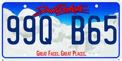 SD license plate 99QB65