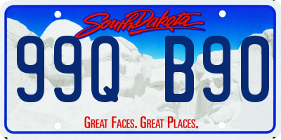 SD license plate 99QB90