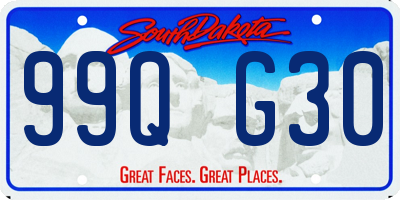 SD license plate 99QG30