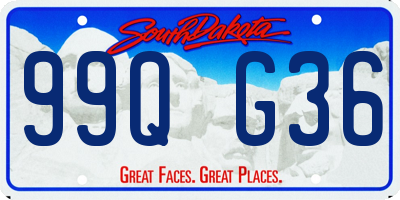 SD license plate 99QG36