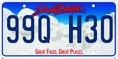 SD license plate 99QH30