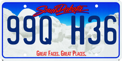 SD license plate 99QH36