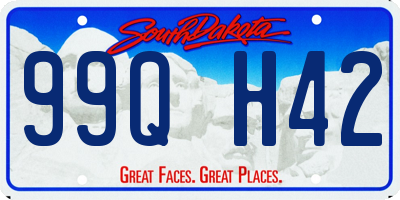 SD license plate 99QH42
