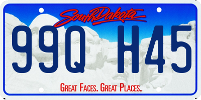 SD license plate 99QH45