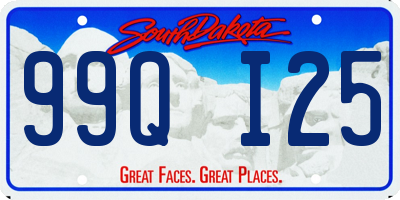 SD license plate 99QI25