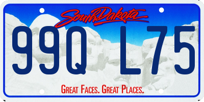 SD license plate 99QL75